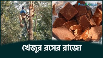 খেজুর রসের রাজ্যে : ষোলোআনা মুগ্ধতা সঙ্গে নিয়ে ফিরবেন নিশ্চিত