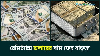 রেমিট্যান্স ডলারের দাম ফের বাড়ছে
