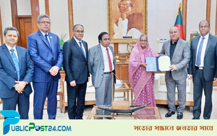 হাসিনা-রেহানাকে শেয়ারবাজারের ৩ লাখ কোটি টাকা দেন শিবলী রুবাইয়াত