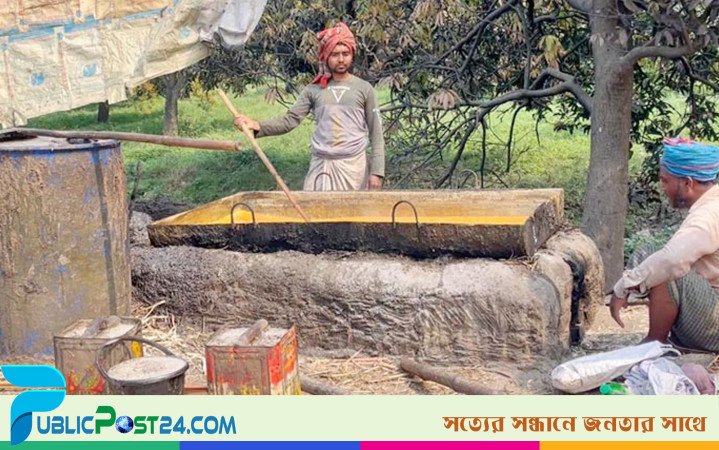 জমিতে অতিরিক্ত সার ব্যবহারে জমছে না আখের গুড়