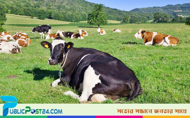 ট্রাম্পের শুল্কনীতিতে উপকৃত হতে পারে অস্ট্রেলিয়ার কৃষি খাত
