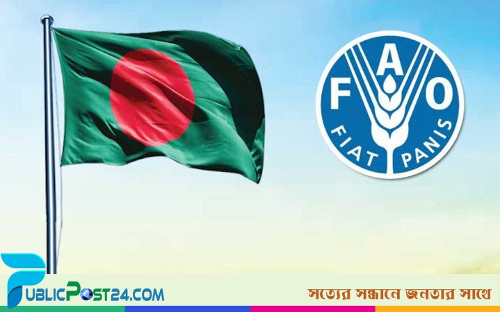 আমের জন্য গুদাম নির্মাণে ৪ মিলিয়ন ডলার সহায়তা দেবে এফএও