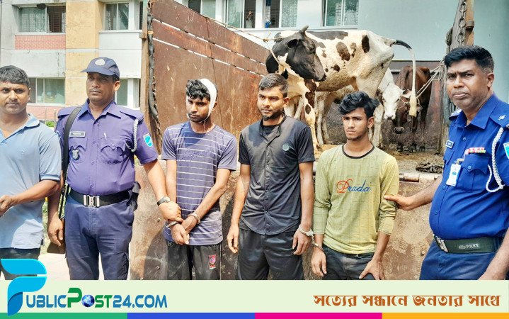 শিক্ষকের খামার থেকে গরু চুরি করে পালানোর সময় ৩ চোর গ্রেপ্তার