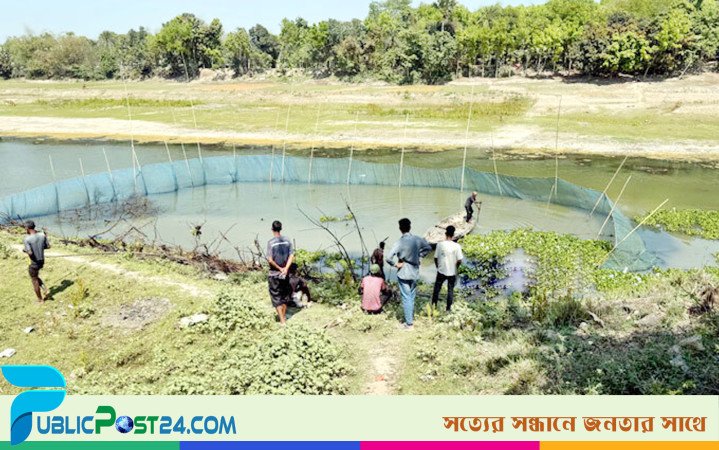 ছোট যমুনায় মা মাছ নিধনের মহোৎসব, ভাগ পাচ্ছে প্রভাবশালীরা