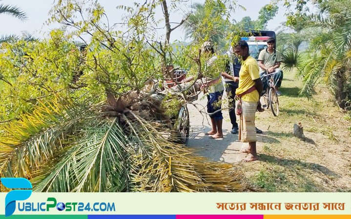 রোগীবাহী পাখিভ্যানে ছিনতাই, চালককে কুপিয়ে নগদ টাকা লুট