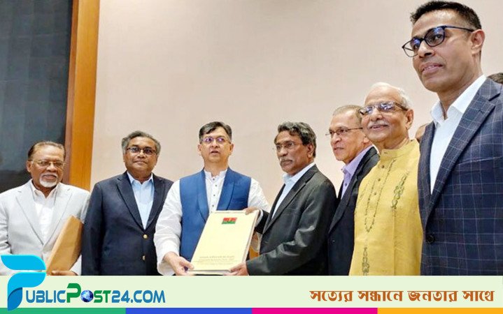 প্রধানমন্ত্রী পদ ও সরকারের মেয়াদ নিয়ে বিএনপির আপত্তি কেন?