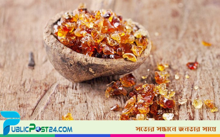 সুদান থেকে যেভাবে পাচার হচ্ছে কোকাকোলা ও দামি চকলেটের মূল উপাদান