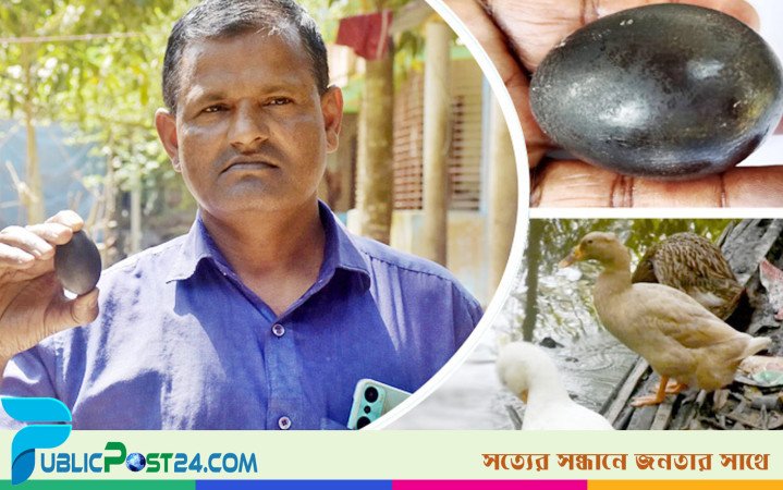 ফরিদপুরে হাঁসের কালো ডিম নিয়ে এলাকায় তোলপাড়
