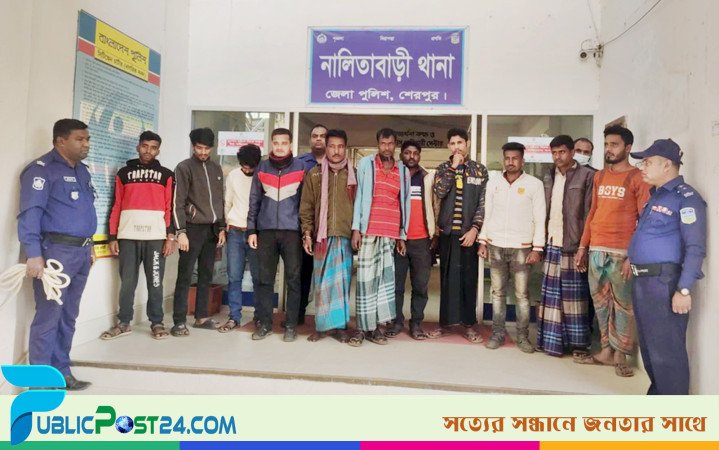 নালিতাবাড়ীতে পৃথক অভিযানে গ্রেপ্তার ১১