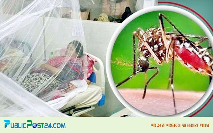 ডেঙ্গুতে মৃত্যু নেই, হাসপাতালে ভর্তি ৯