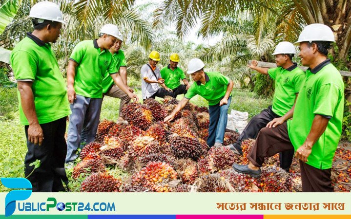 প্লান্টেশনে বাংলাদেশি কর্মী নিয়োগের সময়সীমা বাড়ালো মালয়েশিয়া