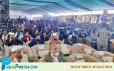 একযুগ পর প্রকাশ্যে হচ্ছে শিবিরের সদস্য সম্মেলন