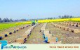 শীতে কাবু মৌমাছি, বাক্সে মিলছে না মধু