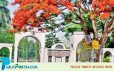ইবির নির্মাণাধীন ভবন থেকে পড়ে শ্রমিক আহত